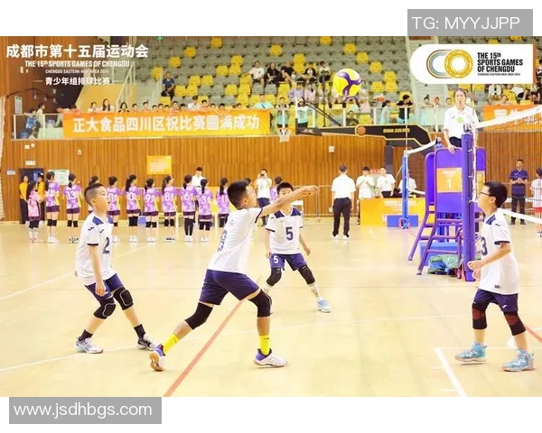 成都排球队实力崛起荣登全国排球力量排行榜第八名